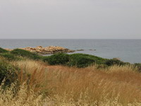 море в районе Кизкалеси