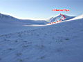 fisht_07_019.jpg