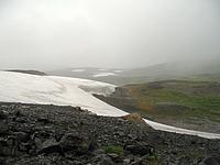 снежники